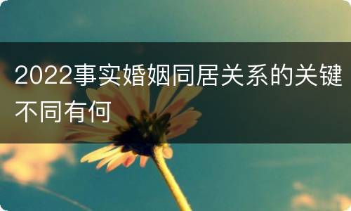 2022事实婚姻同居关系的关键不同有何