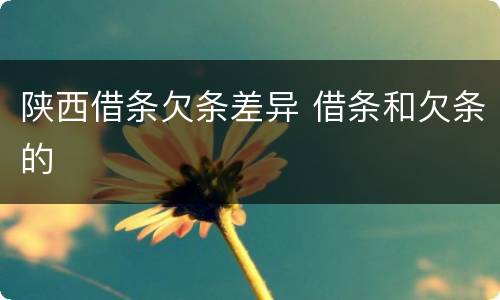 陕西借条欠条差异 借条和欠条的