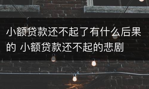 小额贷款还不起了有什么后果的 小额贷款还不起的悲剧