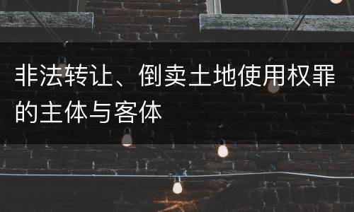非法转让、倒卖土地使用权罪的主体与客体