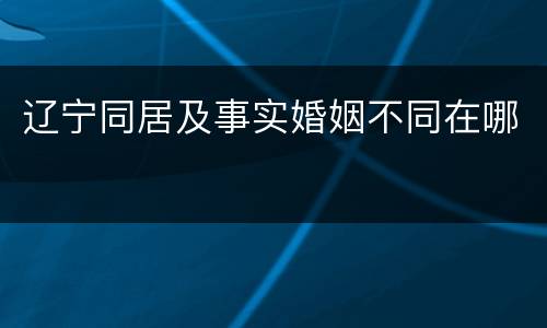 辽宁同居及事实婚姻不同在哪