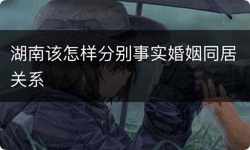 湖南该怎样分别事实婚姻同居关系