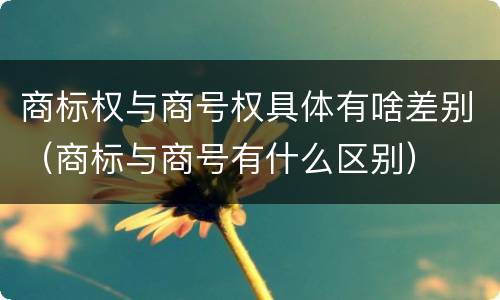 商标权与商号权具体有啥差别(商标与商号有什么区别)