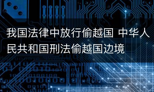 我国法律中放行偷越国 中华人民共和国刑法偷越国边境