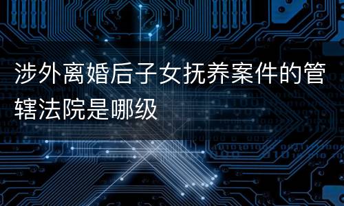 涉外离婚后子女抚养案件的管辖法院是哪级