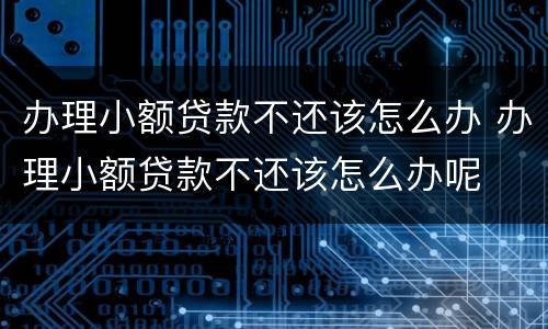 办理小额贷款不还该怎么办 办理小额贷款不还该怎么办呢