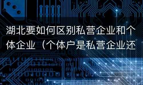 湖北要如何区别私营企业和个体企业（个体户是私营企业还是民营企业）