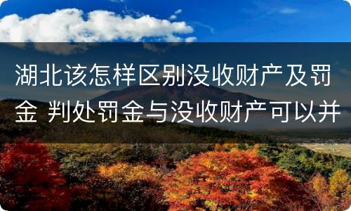 湖北该怎样区别没收财产及罚金 判处罚金与没收财产可以并罚吗