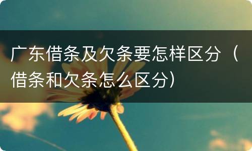 广东借条及欠条要怎样区分（借条和欠条怎么区分）