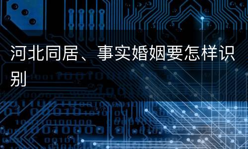 河北同居、事实婚姻要怎样识别