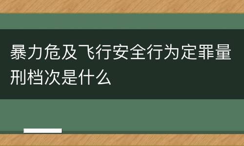 暴力危及飞行安全行为定罪量刑档次是什么