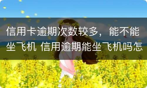 信用卡逾期次数较多，能不能坐飞机 信用逾期能坐飞机吗怎查询