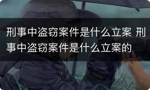 刑事中盗窃案件是什么立案 刑事中盗窃案件是什么立案的
