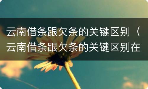 云南借条跟欠条的关键区别（云南借条跟欠条的关键区别在哪里）