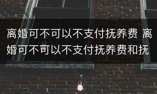 离婚可不可以不支付抚养费 离婚可不可以不支付抚养费和抚养费
