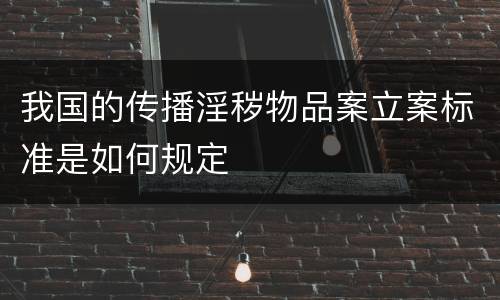 我国的传播淫秽物品案立案标准是如何规定