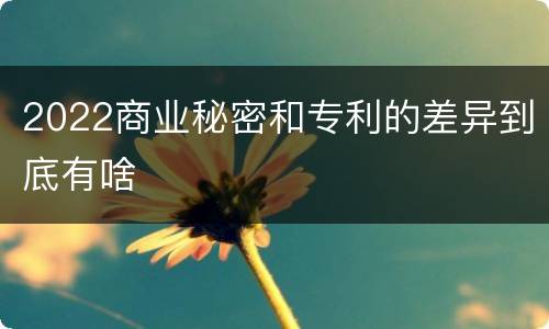 2022商业秘密和专利的差异到底有啥