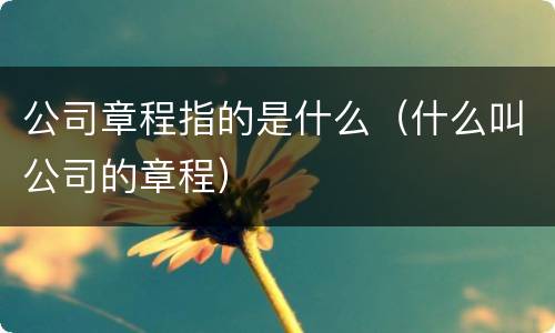 公司章程指的是什么（什么叫公司的章程）