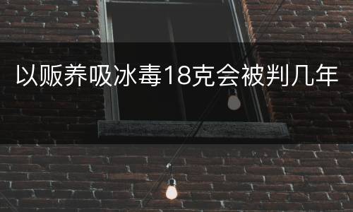 以贩养吸冰毒18克会被判几年