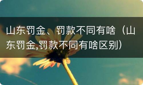 山东罚金、罚款不同有啥（山东罚金,罚款不同有啥区别）