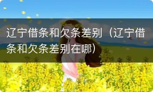辽宁借条和欠条差别（辽宁借条和欠条差别在哪）