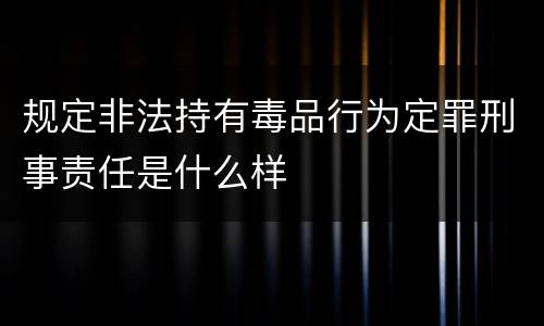 规定非法持有毒品行为定罪刑事责任是什么样