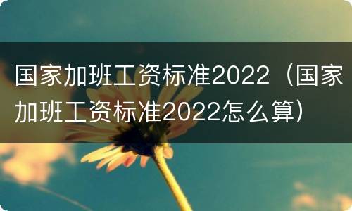 国家加班工资标准2022（国家加班工资标准2022怎么算）