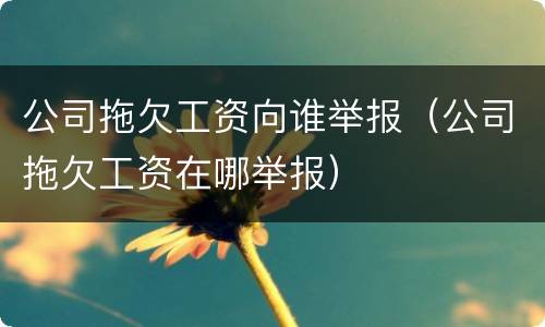 公司拖欠工资向谁举报（公司拖欠工资在哪举报）