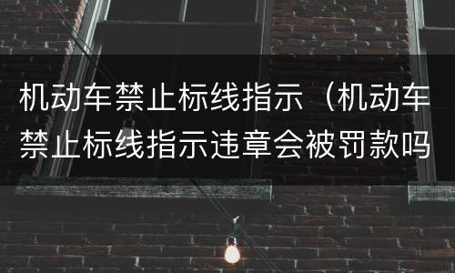 机动车禁止标线指示（机动车禁止标线指示违章会被罚款吗）
