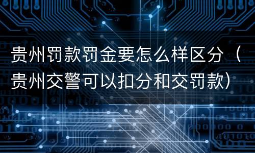 贵州罚款罚金要怎么样区分（贵州交警可以扣分和交罚款）
