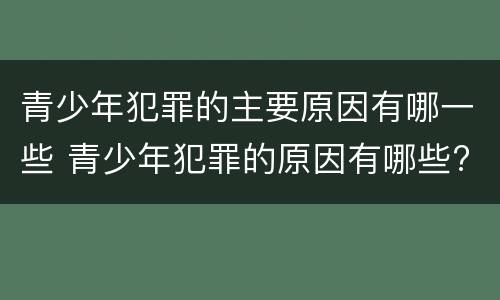 青少年犯罪的主要原因有哪一些 青少年犯罪的原因有哪些?