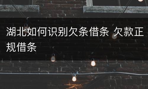 湖北如何识别欠条借条 欠款正规借条