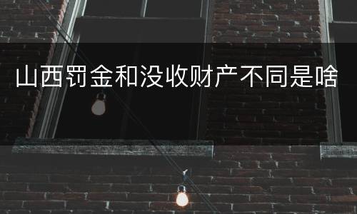山西罚金和没收财产不同是啥