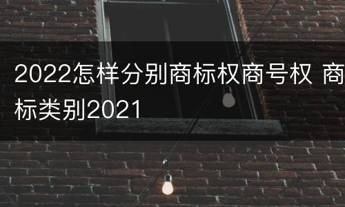 2022怎样分别商标权商号权 商标类别2021
