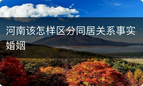河南该怎样区分同居关系事实婚姻