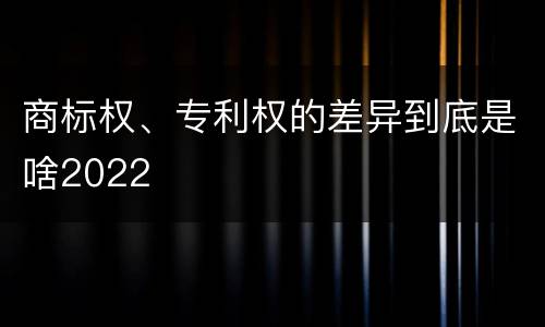 商标权、专利权的差异到底是啥2022