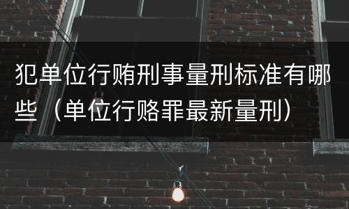 犯单位行贿刑事量刑标准有哪些（单位行赂罪最新量刑）