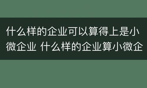 什么样的企业可以算得上是小微企业 什么样的企业算小微企业?什么样的算中小微企业?