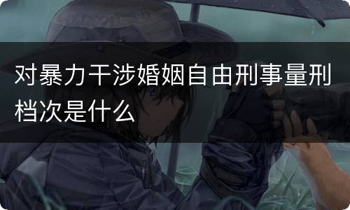 对暴力干涉婚姻自由刑事量刑档次是什么