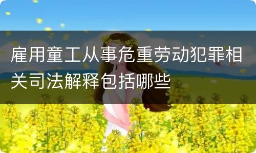雇用童工从事危重劳动犯罪相关司法解释包括哪些