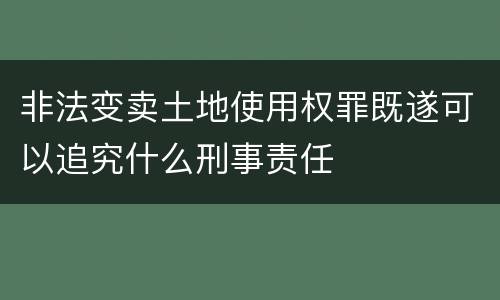 非法变卖土地使用权罪既遂可以追究什么刑事责任
