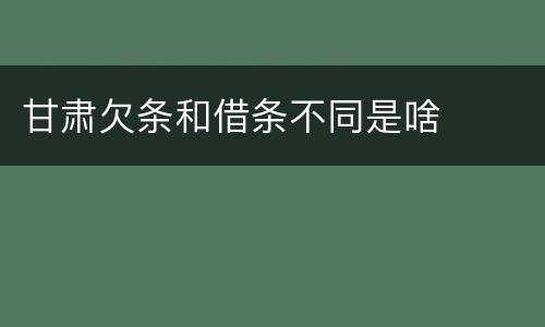 甘肃欠条和借条不同是啥