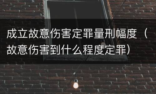 成立故意伤害定罪量刑幅度（故意伤害到什么程度定罪）