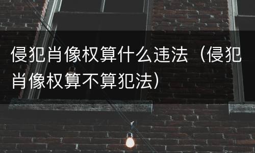 侵犯肖像权算什么违法（侵犯肖像权算不算犯法）
