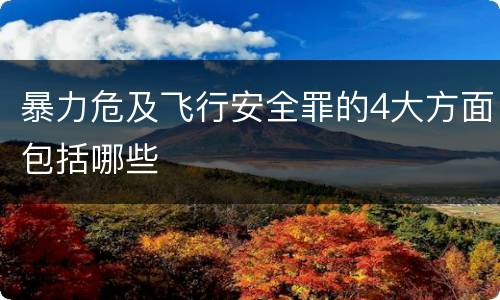 暴力危及飞行安全罪的4大方面包括哪些