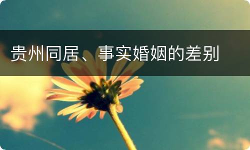 贵州同居、事实婚姻的差别