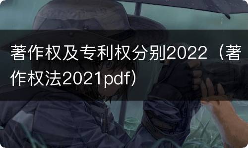 著作权及专利权分别2022（著作权法2021pdf）