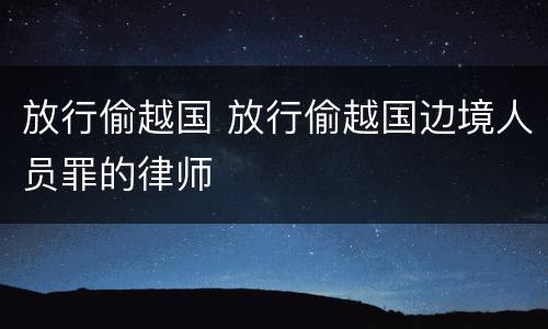 放行偷越国 放行偷越国边境人员罪的律师
