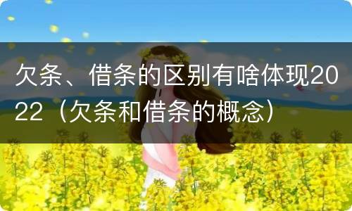 欠条、借条的区别有啥体现2022（欠条和借条的概念）