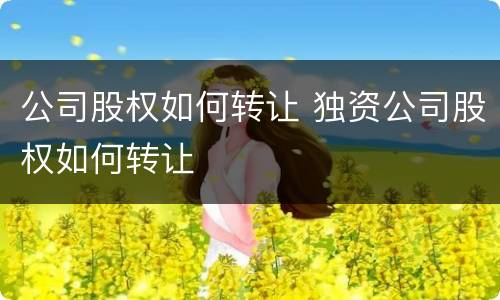 公司股权如何转让 独资公司股权如何转让